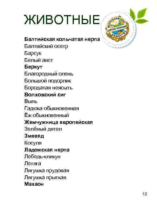  ЖИВОТНЫЕ  Балтийская кольчатая нерпа  Балтийский осетр  Барсук  Белый аист