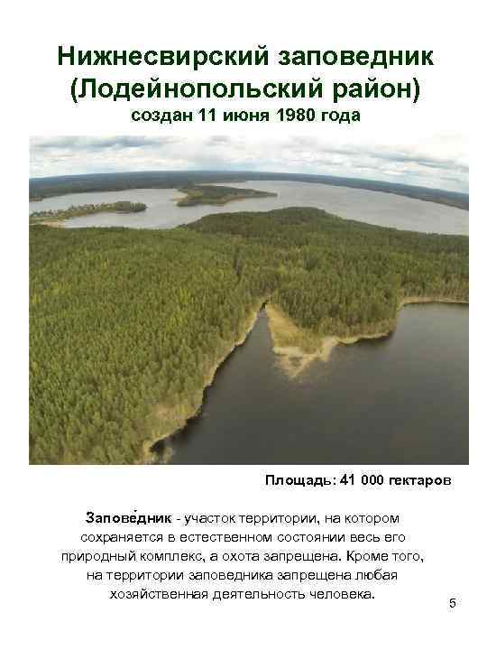Нижнесвирский заповедник (Лодейнопольский район)   создан 11 июня 1980 года   