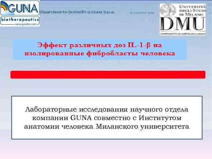 Лабораторные исследования научного отдела  компании GUNA совместно с Институтом анатомии человека Миланского университета