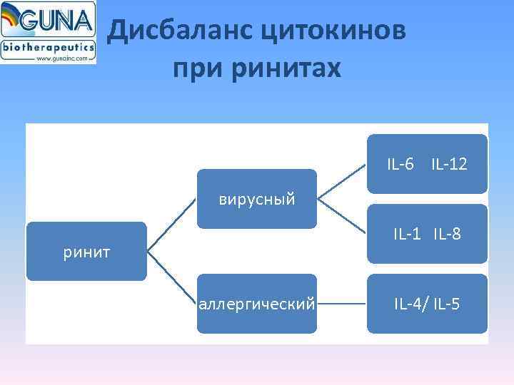   Дисбаланс цитокинов   при ринитах      IL-6