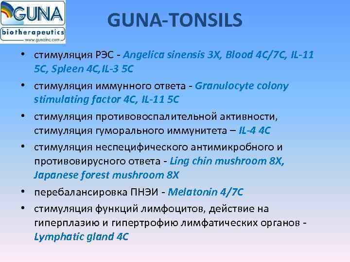    GUNA-TONSILS • стимуляция РЭС - Angelica sinensis 3 X, Blood 4