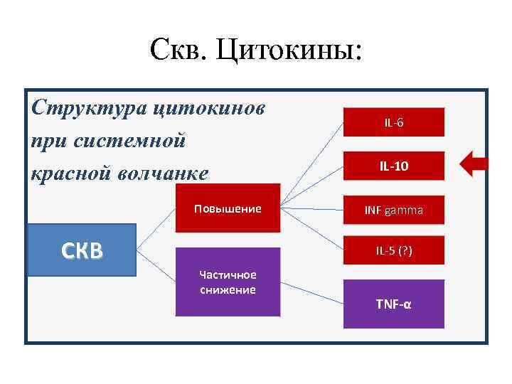    Скв. Цитокины: Структура цитокинов     IL-6 при системной