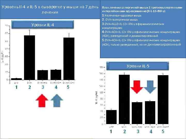 Уровень Il-4 и IL-5 в сыворотке у мыши на 7 день  План лечения