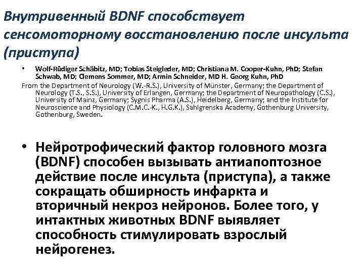 Внутривенный BDNF способствует сенсомоторному восстановлению после инсульта (приступа)  •  Wolf-Rüdiger Schäbitz, MD;