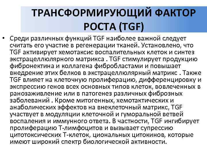   ТРАНСФОРМИРУЮЩИЙ ФАКТОР   РОСТА (TGF) • Среди различных функций TGF наиболее