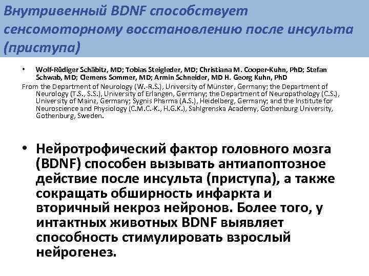 Внутривенный BDNF способствует сенсомоторному восстановлению после инсульта (приступа)  •  Wolf-Rüdiger Schäbitz, MD;