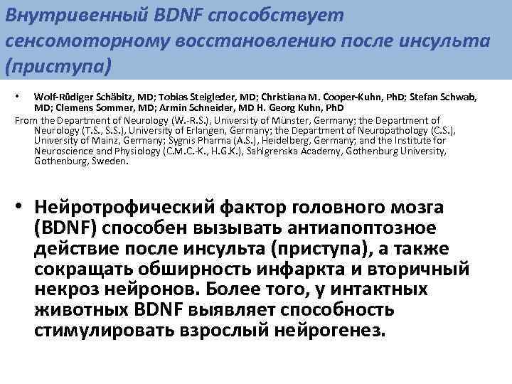 Внутривенный BDNF способствует сенсомоторному восстановлению после инсульта (приступа) •  Wolf-Rüdiger Schäbitz, MD; Tobias