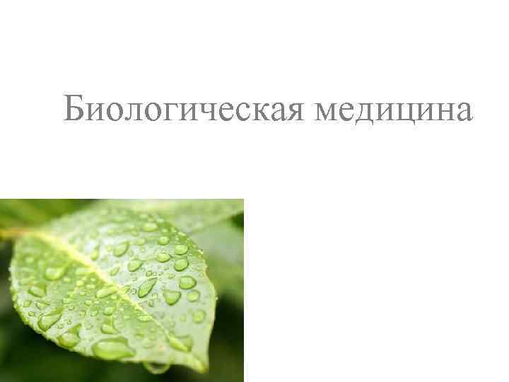 Биологическая медицина 
