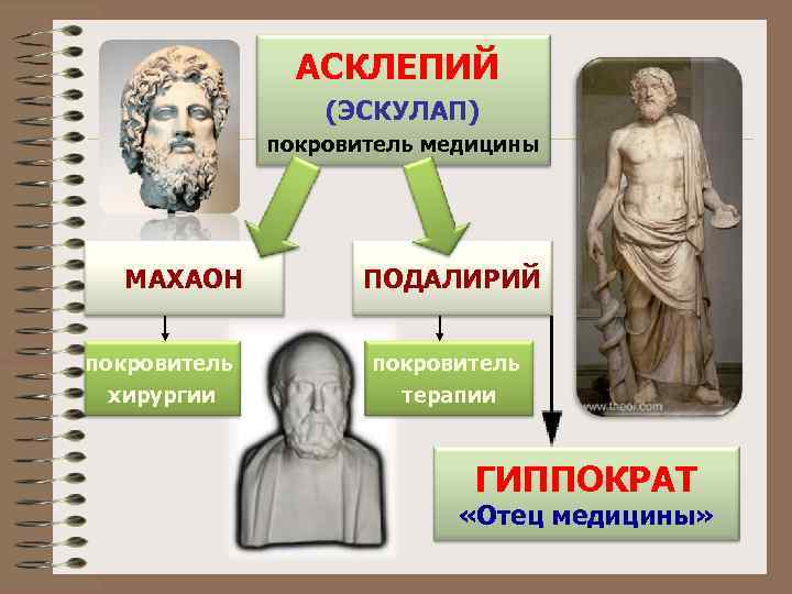     АСКЛЕПИЙ    (ЭСКУЛАП)    покровитель медицины