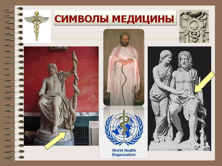 СИМВОЛЫ МЕДИЦИНЫ 