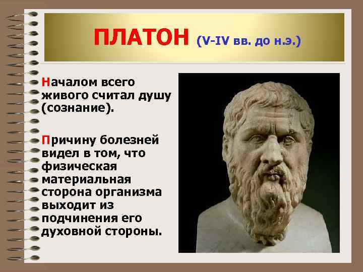   ПЛАТОН (V-IV вв. до н. э. ) Началом всего живого считал душу