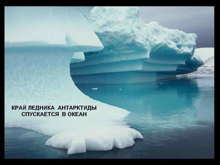 КРАЙ ЛЕДНИКА АНТАРКТИДЫ  СПУСКАЕТСЯ В ОКЕАН 