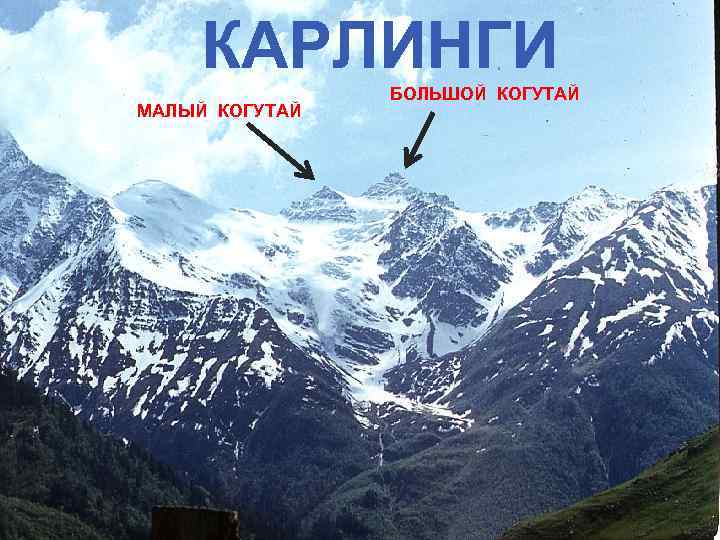  КАРЛИНГИ  БОЛЬШОЙ КОГУТАЙ МАЛЫЙ КОГУТАЙ 