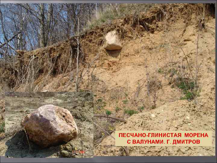 ПЕСЧАНО-ГЛИНИСТАЯ МОРЕНА  С ВАЛУНАМИ. Г. ДМИТРОВ 