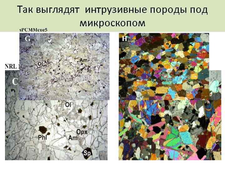 Так выглядят интрузивные породы под   микроскопом 