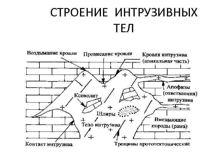 СТРОЕНИЕ ИНТРУЗИВНЫХ   ТЕЛ 