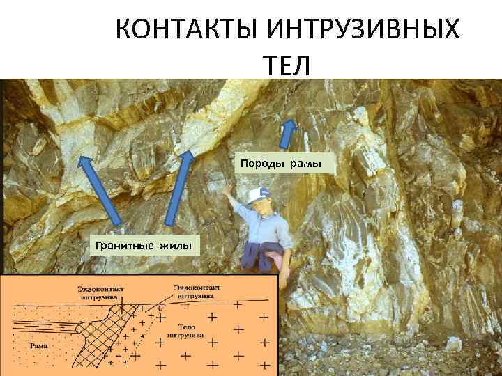  КОНТАКТЫ ИНТРУЗИВНЫХ  ТЕЛ    Породы рамы Гранитные жилы 