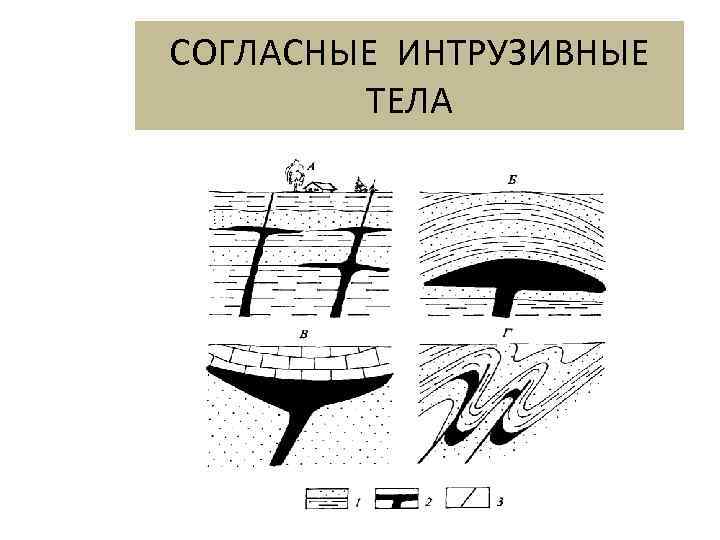 СОГЛАСНЫЕ ИНТРУЗИВНЫЕ   ТЕЛА 