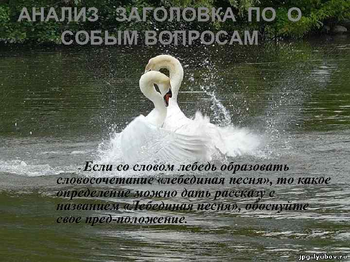 АНАЛИЗ ЗАГОЛОВКА ПО О СОБЫМ ВОПРОСАМ - Если со словом лебедь образовать словосочетание «лебединая