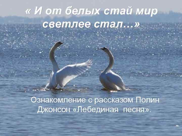  « И от белых стай мир  светлее стал…» Ознакомление с рассказом Полин