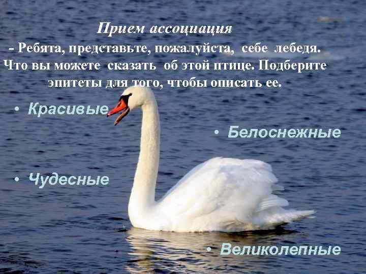    Прием ассоциация - Ребята, представьте, пожалуйста,  себе лебедя.  Что