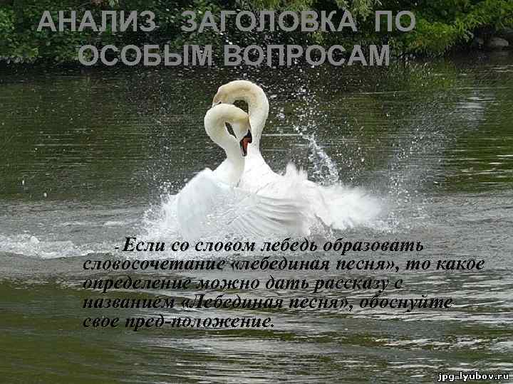 АНАЛИЗ  ЗАГОЛОВКА ПО ОСОБЫМ ВОПРОСАМ   - Если со словом лебедь образовать