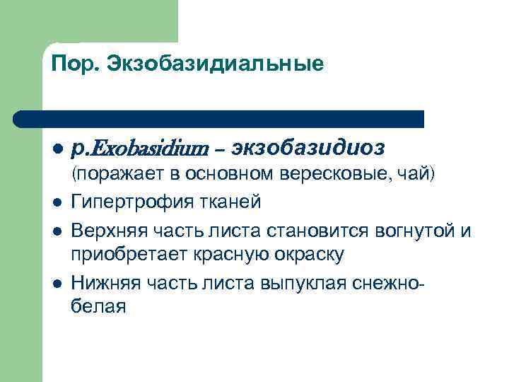 Пор. Экзобазидиальные  l  р. Exobasidium – экзобазидиоз (поражает в основном вересковые, чай)