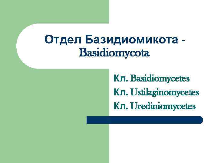 Отдел Базидиомикота - Basidiomycota  Кл. Basidiomycetes  Кл. Ustilaginomycetes  Кл. Urediniomycetes 