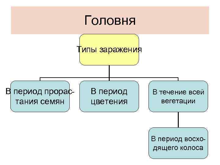     Головня     Типы заражения  В период