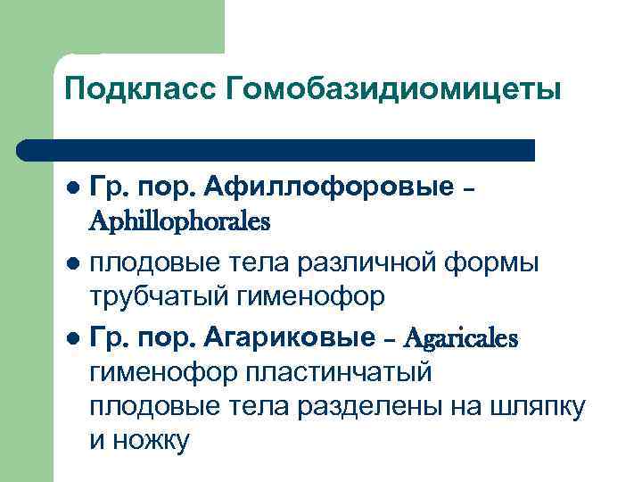 Подкласс Гомобазидиомицеты  l Гр. пор. Афиллофоровые –  Aphillophorales l плодовые тела различной