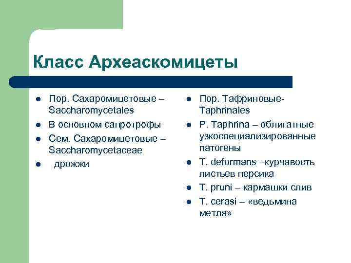 Класс Археаскомицеты l  Пор. Сахаромицетовые –  l  Пор. Тафриновые- Saccharomycetales 
