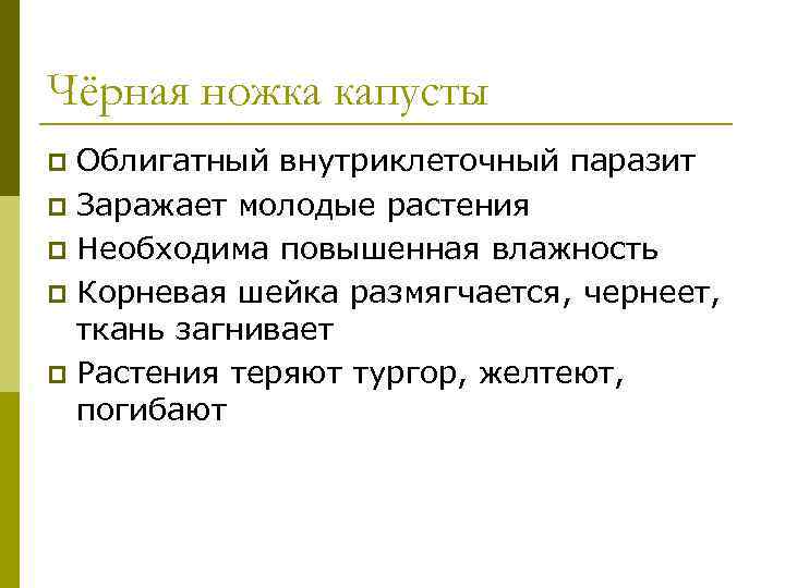 Чёрная ножка капусты p Облигатный внутриклеточный паразит p Заражает молодые растения p Необходима повышенная