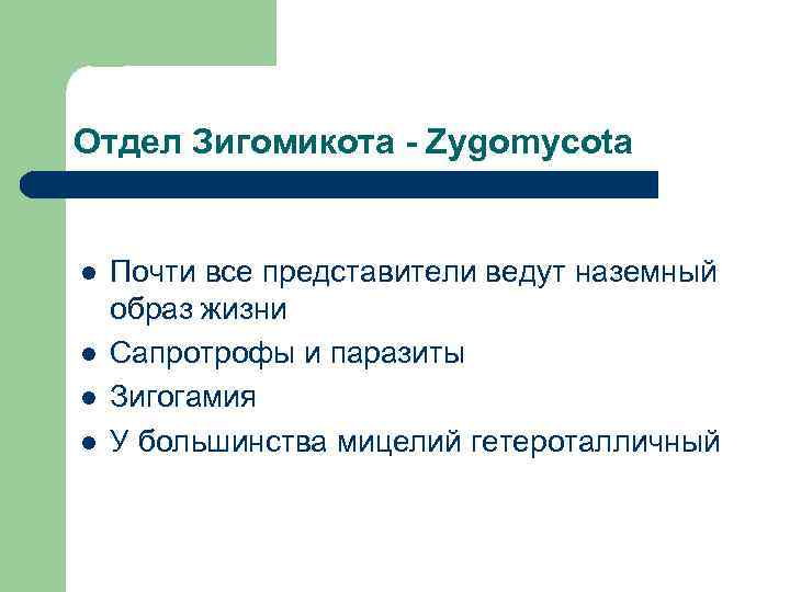 Отдел Зигомикота - Zygomycota  l  Почти все представители ведут наземный образ жизни
