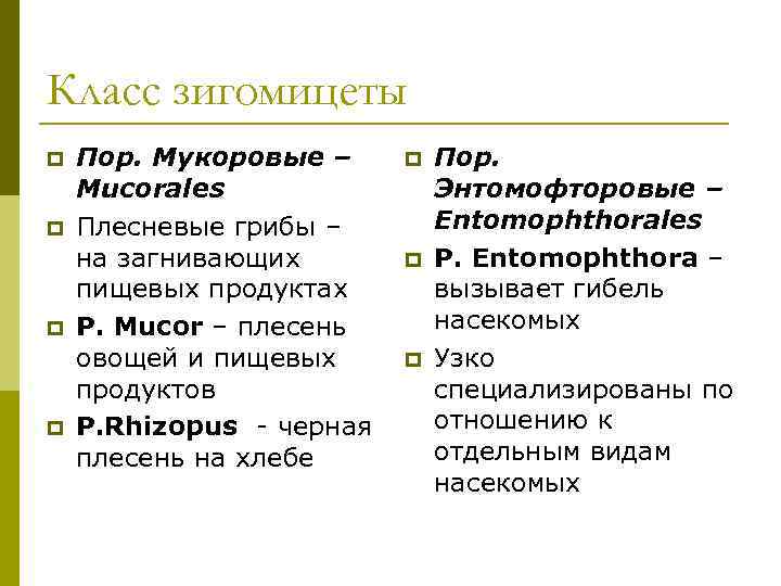 Класс зигомицеты p  Пор. Мукоровые – p  Пор. Mucorales   Энтомофторовые