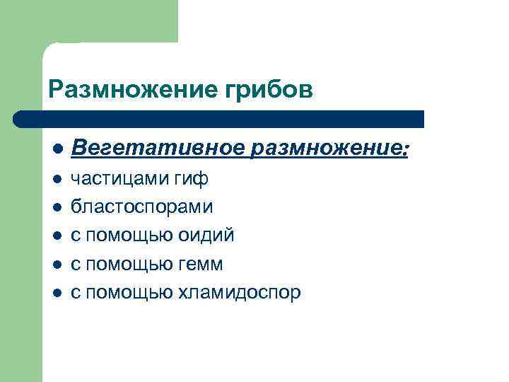 Размножение грибов l  Вегетативное размножение: l  частицами гиф l  бластоспорами l