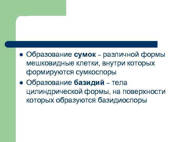 l  Образование сумок – различной формы мешковидные клетки, внутри которых формируются сумкоспоры l