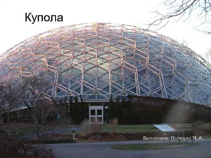 Купола   Выполнила: Полюшко Я. А. 