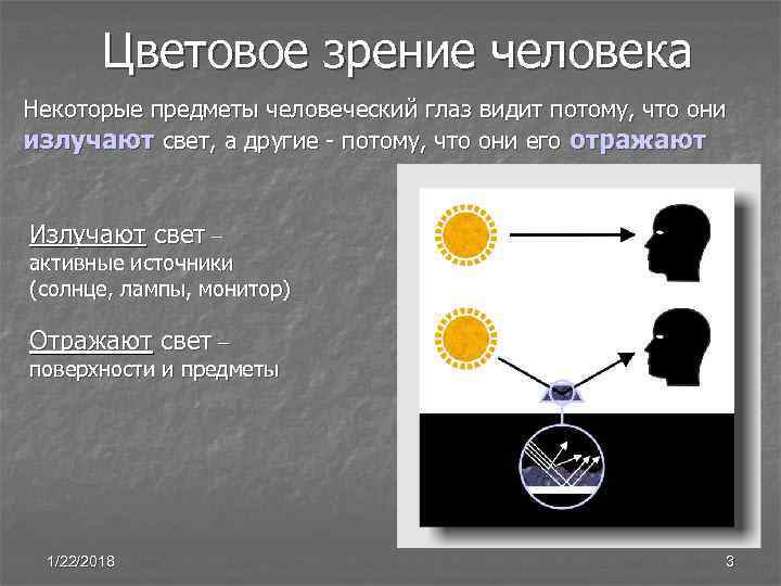 Цветовое зрение обеспечивают