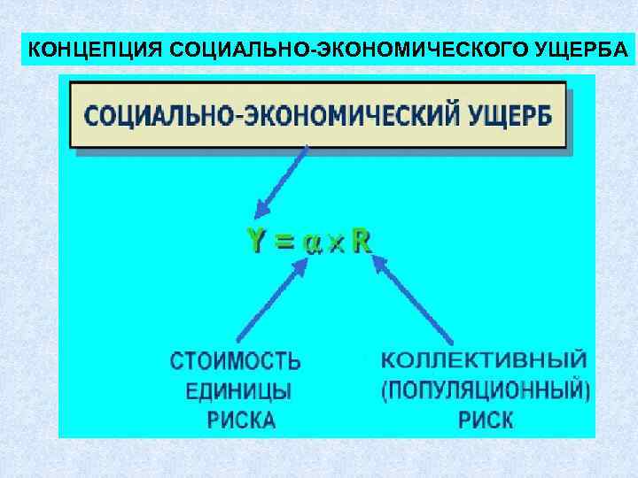 КОНЦЕПЦИЯ СОЦИАЛЬНО-ЭКОНОМИЧЕСКОГО УЩЕРБА 