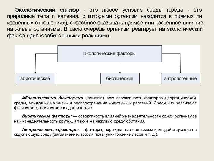   Экологический фактор  это любое условие среды (среда  это природные тела