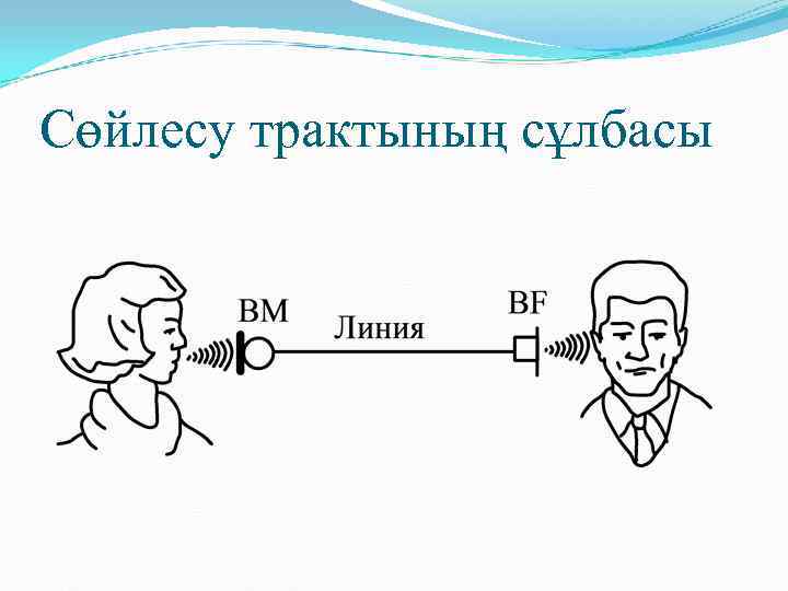 Сөйлесу трактының сұлбасы 