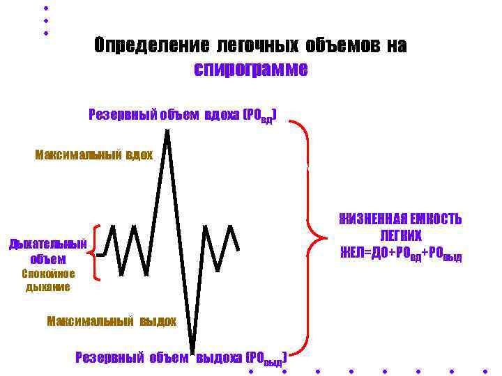     Определение легочных объемов на     спирограмме 
