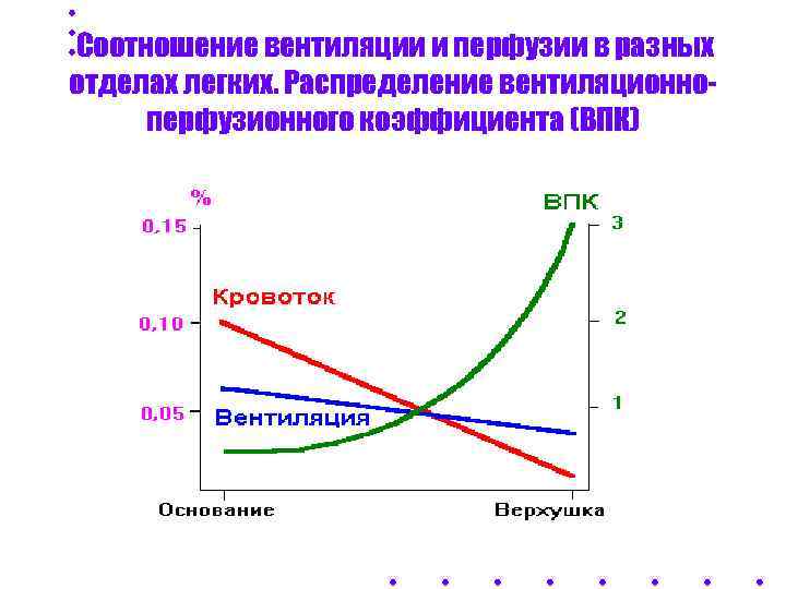 Соотношение вентиляции и перфузии в разных отделах легких. Распределение вентиляционно- перфузионного коэффициента (ВПК) 