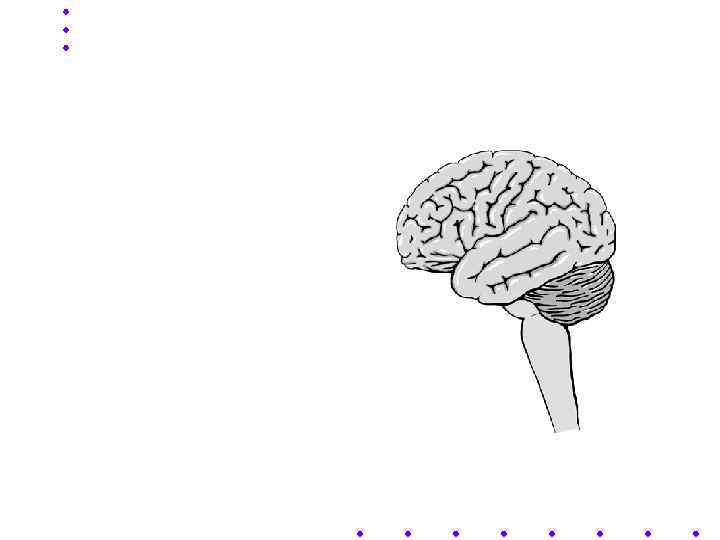  • ТЕМА ЛЕКЦИИ: • РЕГУЛЯЦИЯ  ВНЕШНЕГО ДЫХАНИЯ 