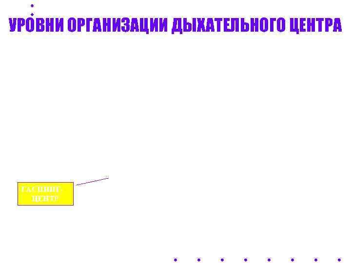 УРОВНИ ОРГАНИЗАЦИИ ДЫХАТЕЛЬНОГО ЦЕНТРА ГАСПИНГ-  ЦЕНТР 