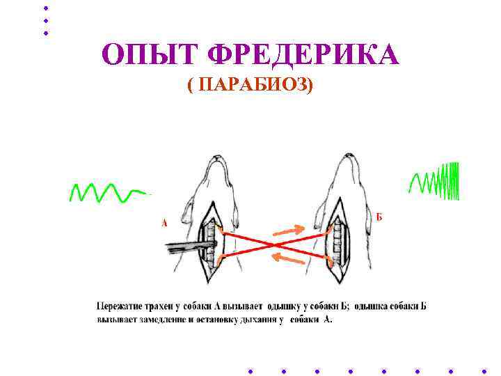 ОПЫТ ФРЕДЕРИКА ( ПАРАБИОЗ) Пневмограммы 
