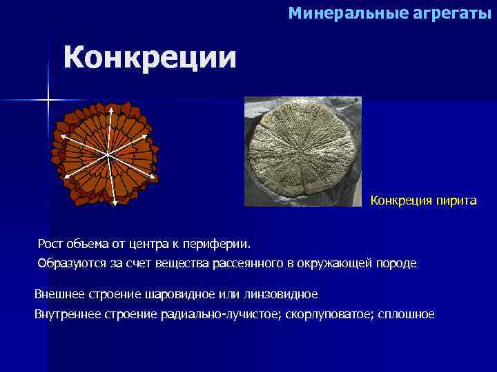     Минеральные агрегаты Конкреции     Конкреция пирита 
