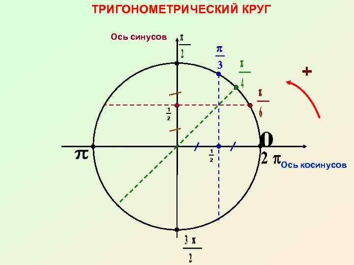 Ось круга