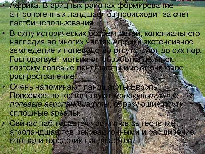  • Африка. В аридных районах формирование  антропогенных ландшафтов происходит за счет 