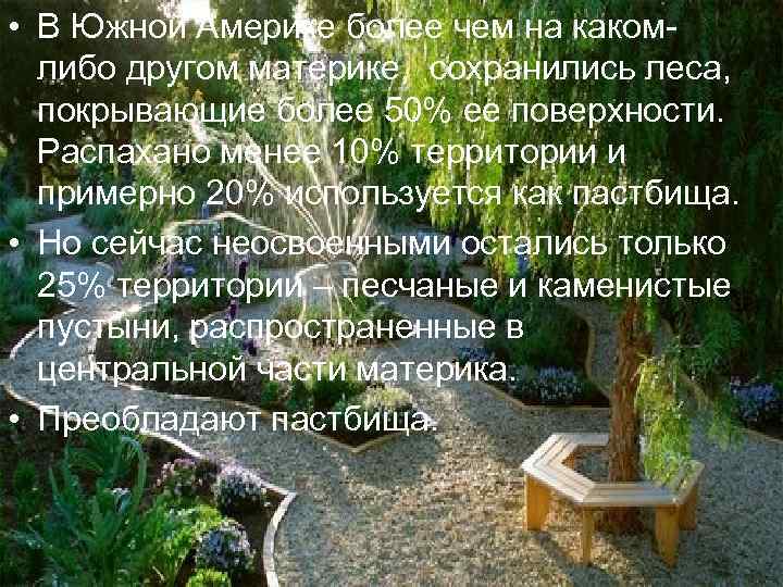  • В Южной Америке более чем на каком-  либо другом материке, сохранились